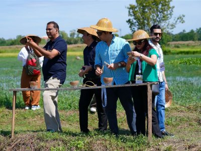 SS Rice News Convention 2025, Pattaya - Thailand
